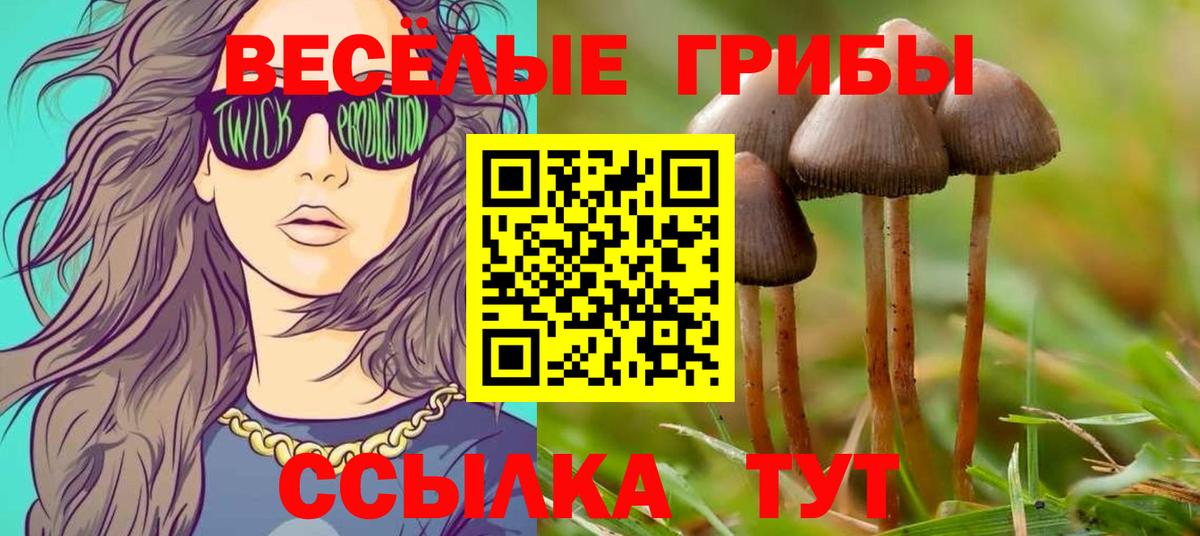 Псилоцибиновые грибы ЛСД  Вход с VPN  наркота  Королёв 